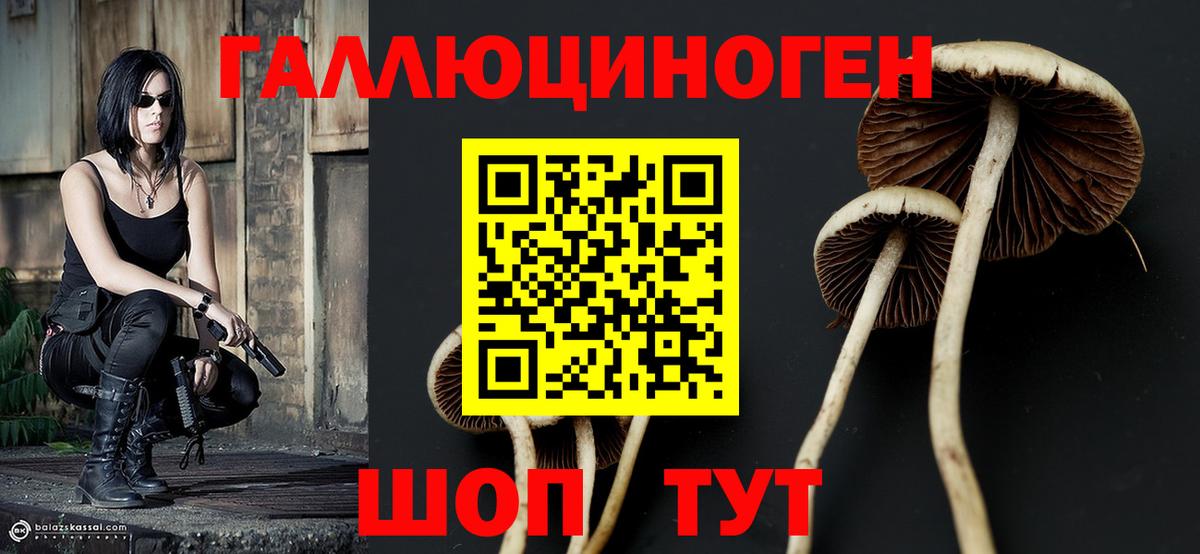 Псилоцибиновые грибы ЛСД Звенигород