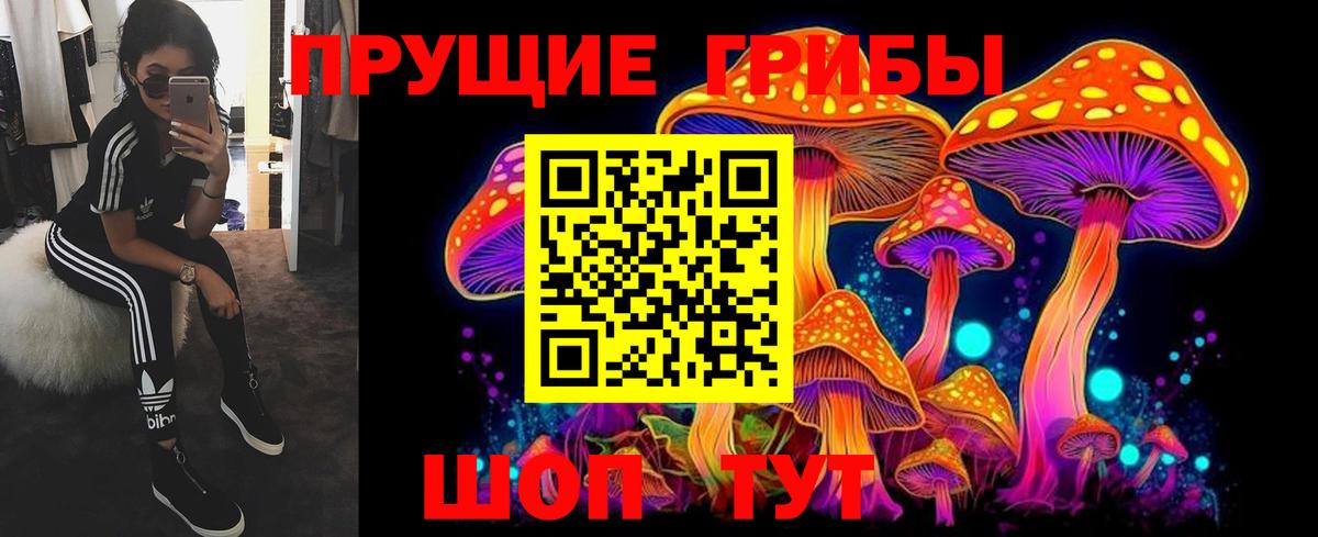 Звенигород  Галлюциногенные грибы прущие грибы  Вход с VPN 